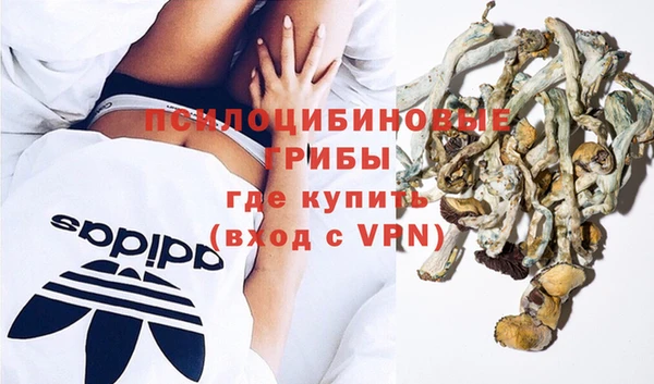 a pvp Корсаков