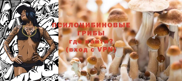 a pvp Корсаков